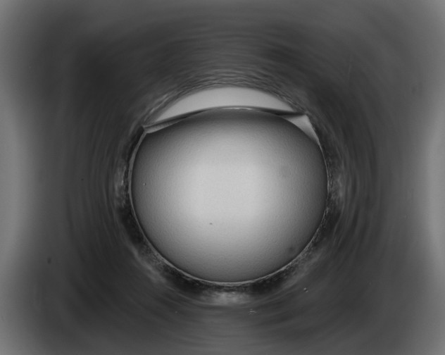 X0000083550360200703021657
