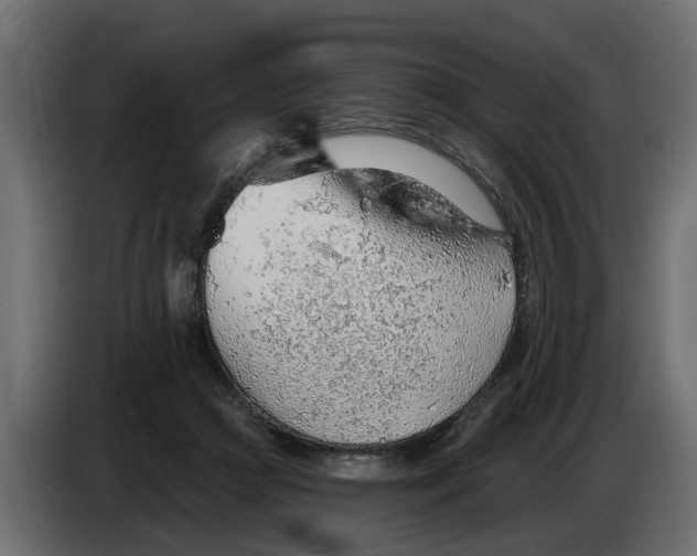 X0000083550361200703021657