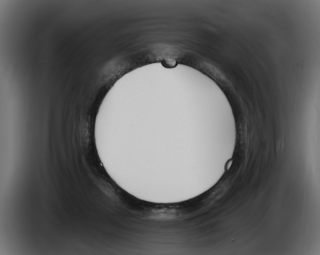 X0000083550362200703021657