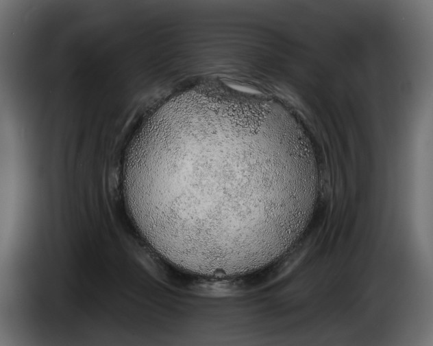 X0000083550365200703021657