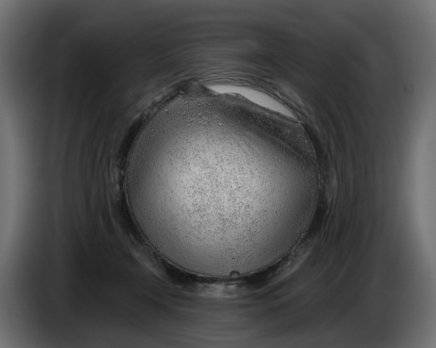 X0000083550366200703021657