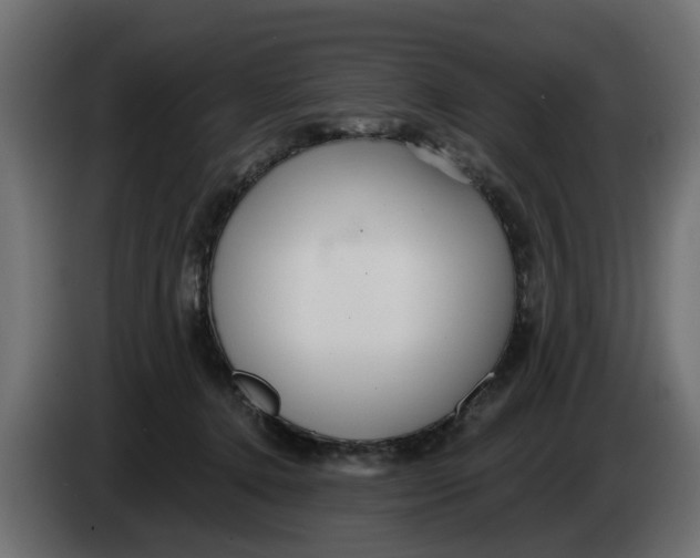 X0000083550368200703021657