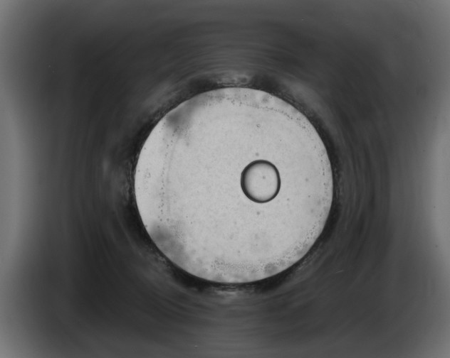 X0000083550370200703021657