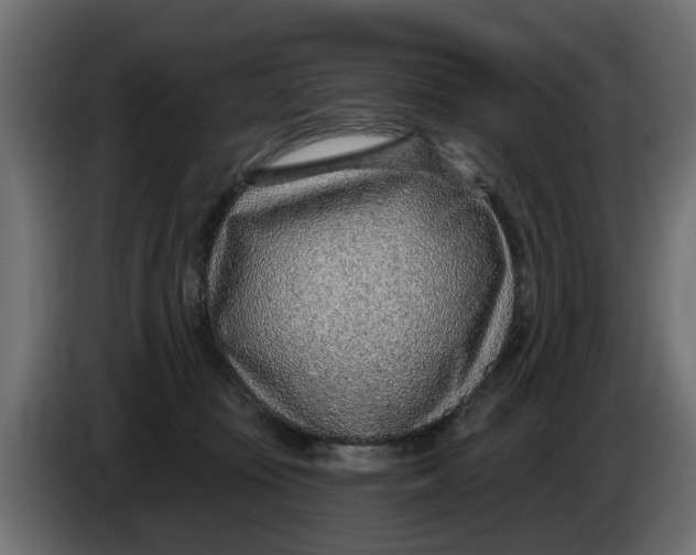 X0000083550371200703021657