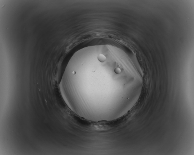 X0000083550372200703021657