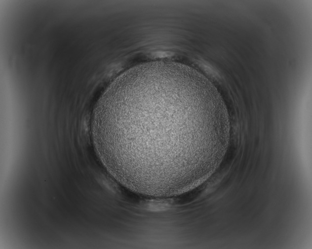 X0000083550373200703021657