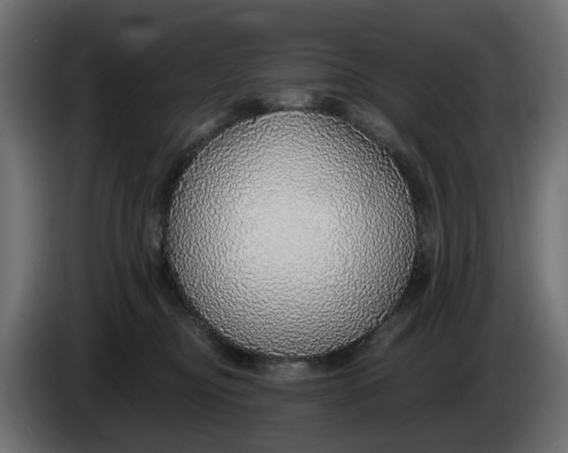 X0000083550374200703021657
