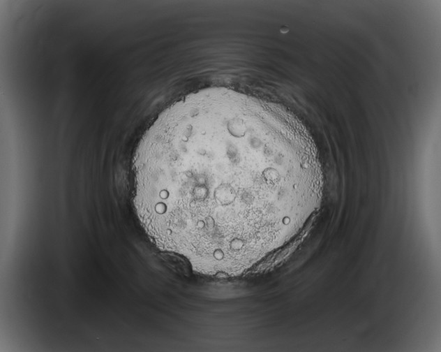 X0000083550375200703021657