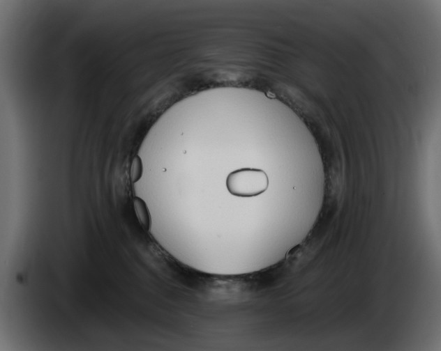 X0000083550376200703021657