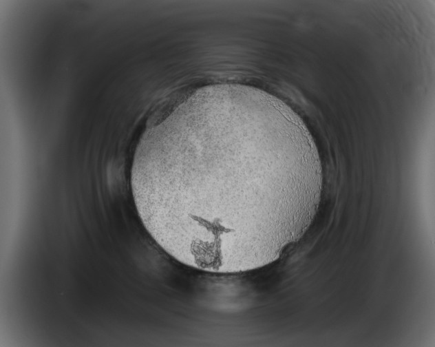 X0000083550377200703021657