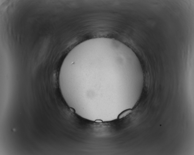 X0000083550378200703021657