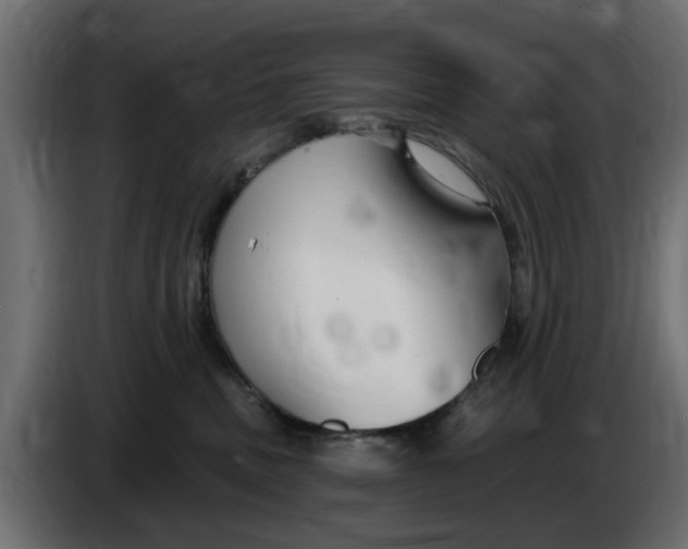 X0000083550379200703021657