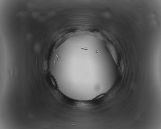 X0000083550380200703021657