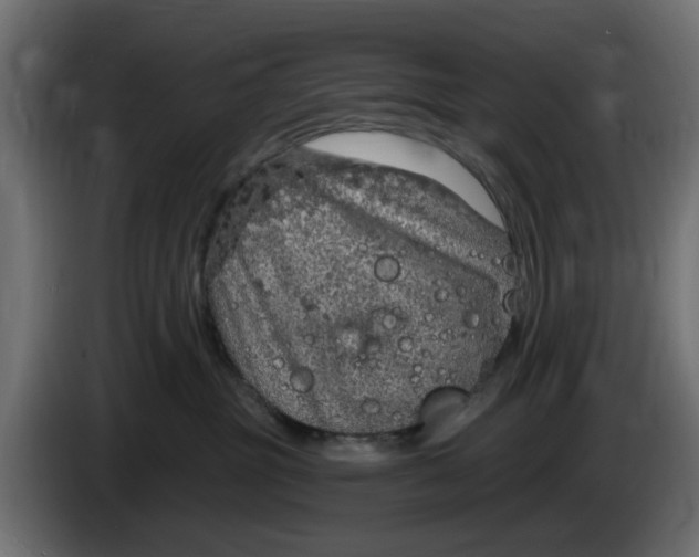 X0000083550381200703021657