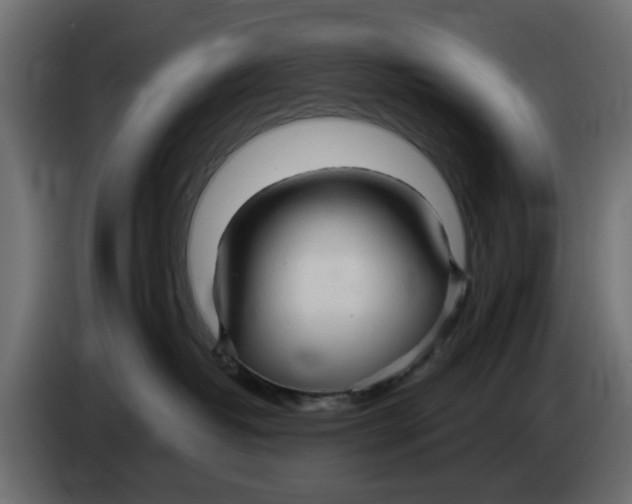 X0000083550382200703021657