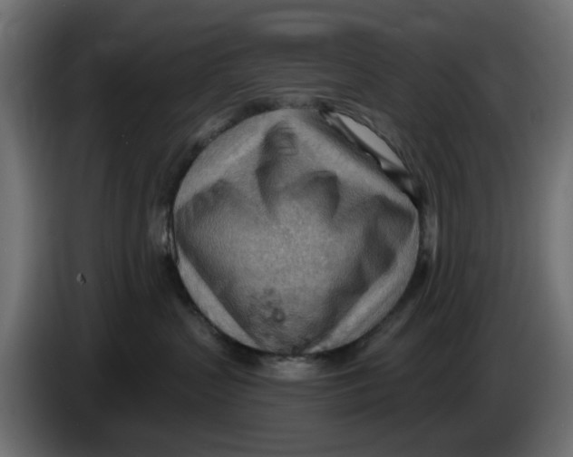 X0000083550383200703021658