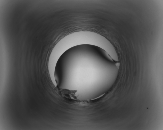 X0000083550384200703021658