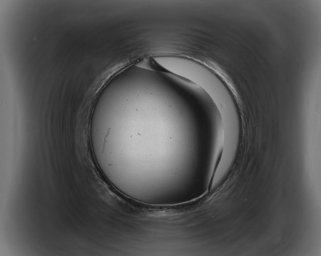 X0000083550385200703021657