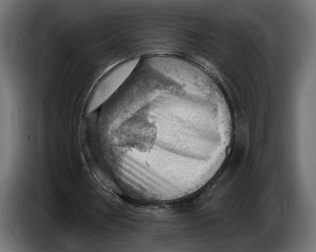 X0000083550386200703021657