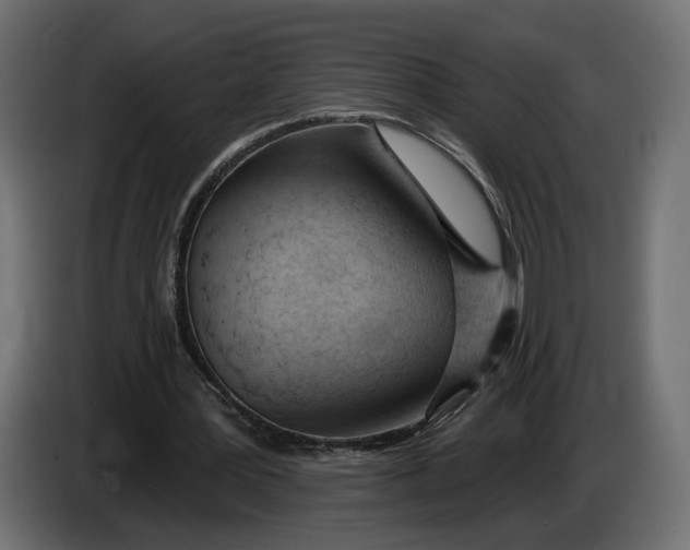 X0000083550387200703021657