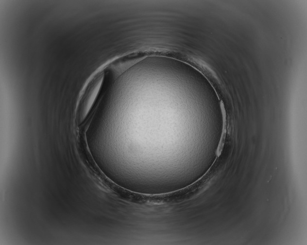 X0000083550388200703021657