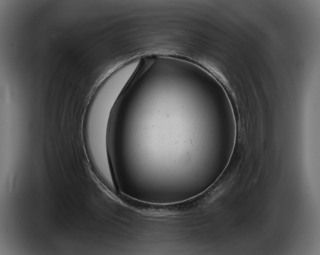 X0000083550389200703021657