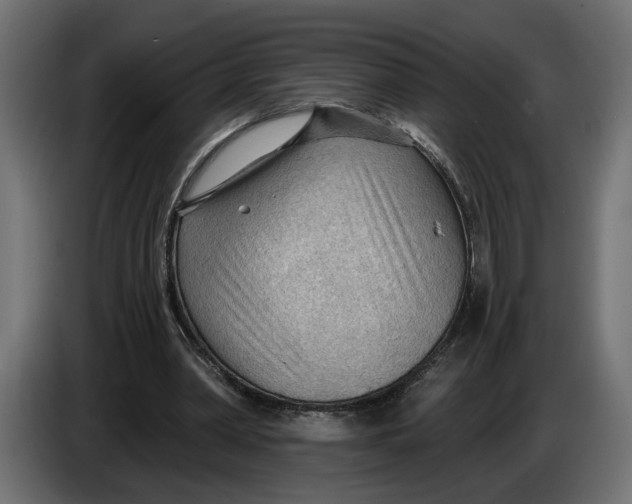 X0000083550390200703021657