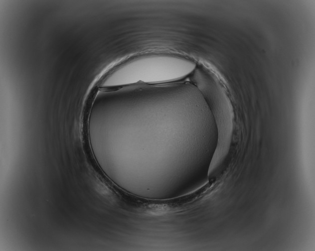 X0000083550391200703021657