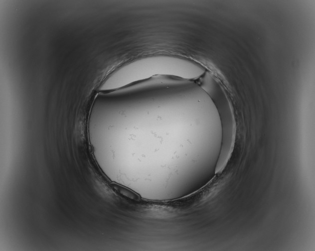 X0000083550393200703021657