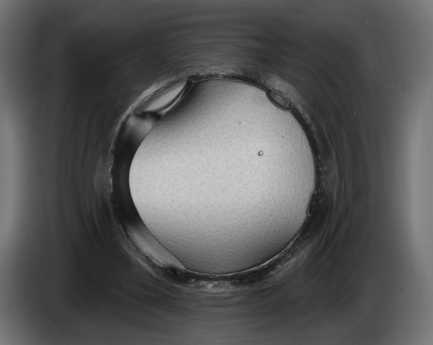 X0000083550395200703021656