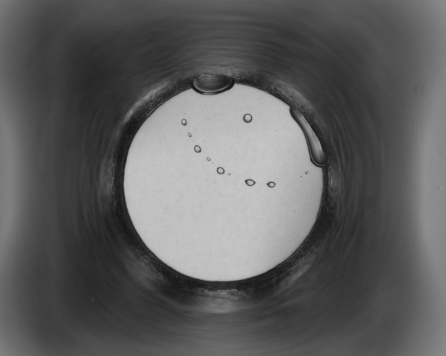 X0000083550396200703021656