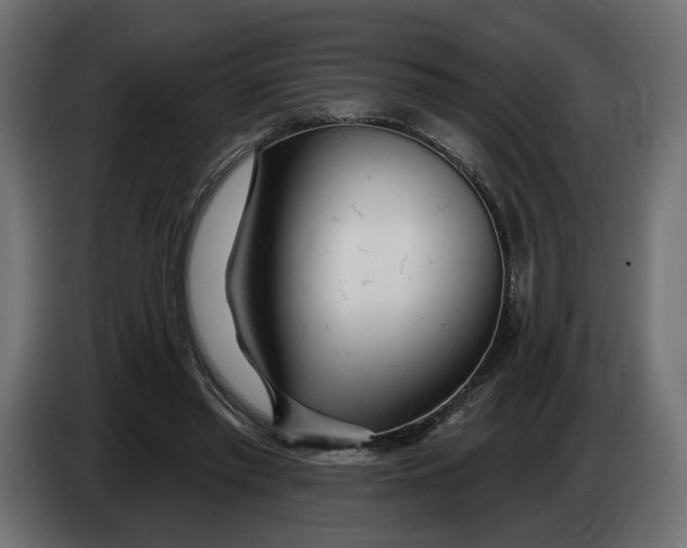X0000083550397200703021656