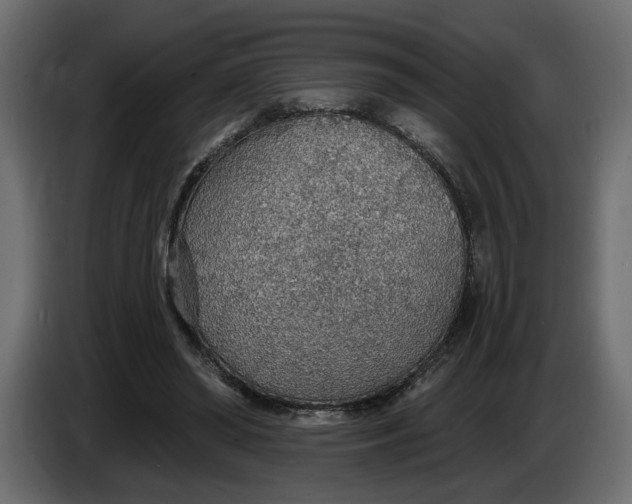 X0000083550398200703021656