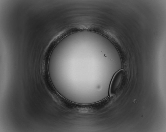 X0000083550400200703021656