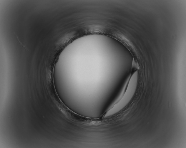 X0000083550401200703021656