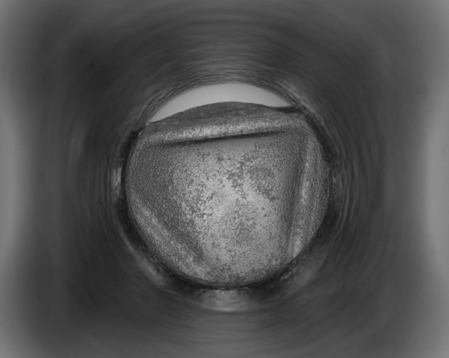 X0000083550406200703021656