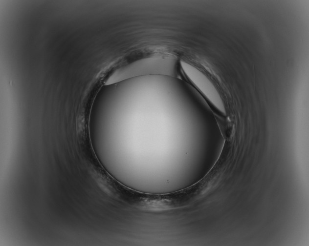 X0000083550407200703021656