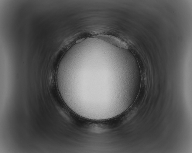 X0000083550408200703021656