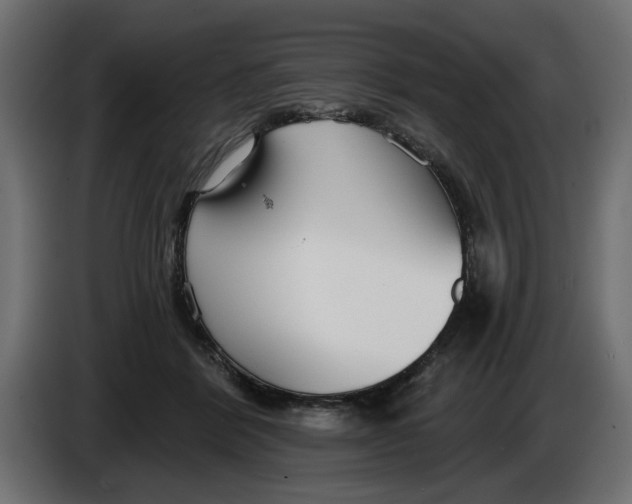 X0000083550412200703021656
