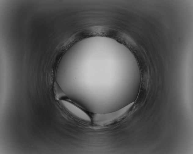 X0000083550413200703021656