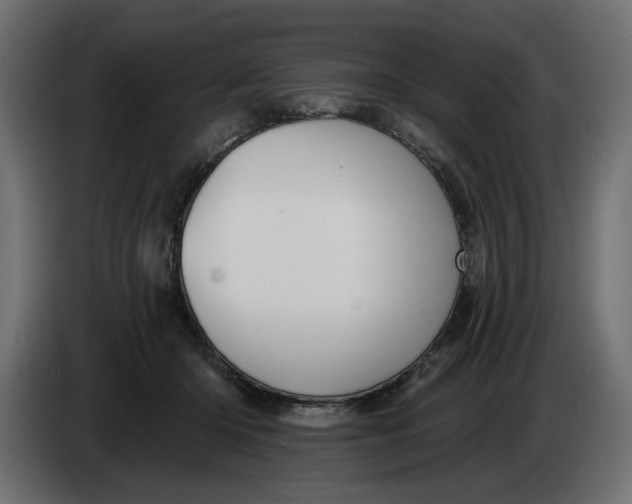 X0000083550414200703021656