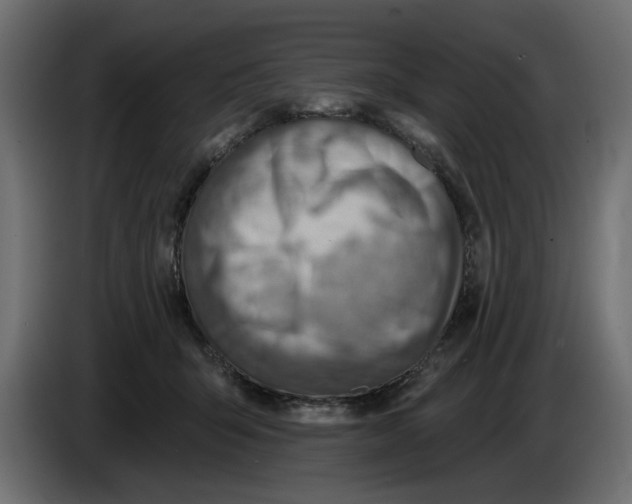X0000083550415200703021656