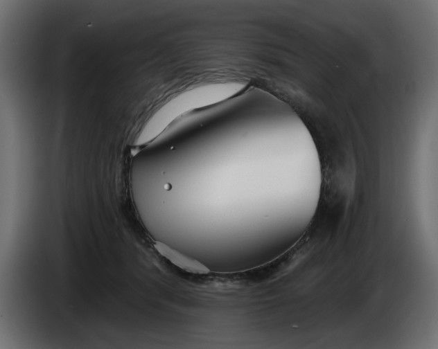 X0000083550416200703021656