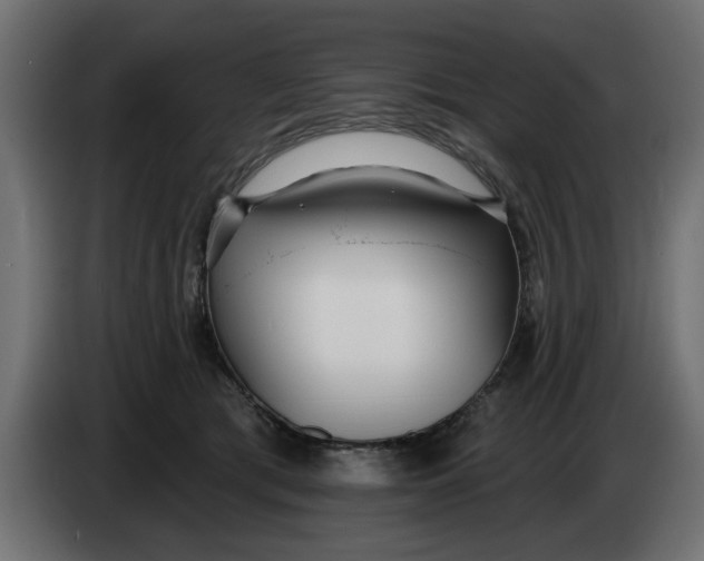 X0000083550417200703021656