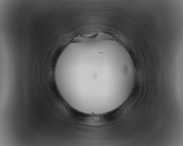 X0000083550418200703021656