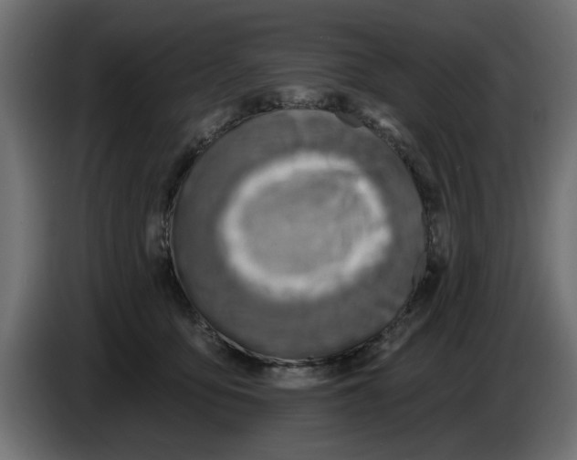 X0000083550419200703021656
