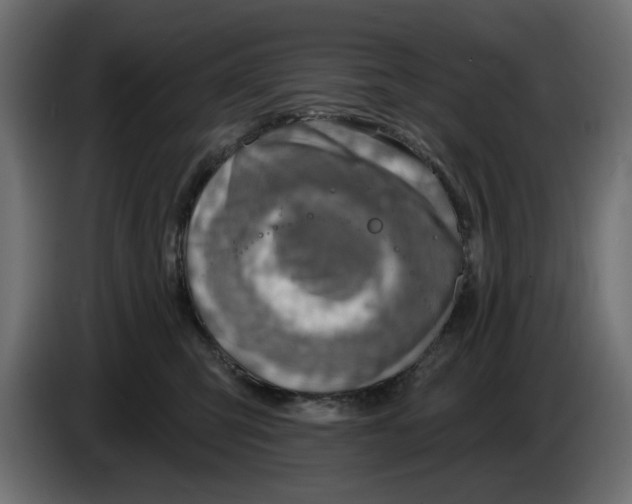 X0000083550423200703021656