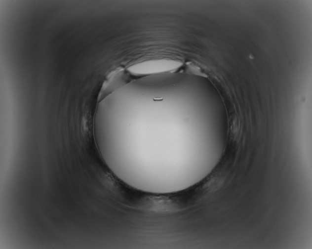 X0000083550424200703021656