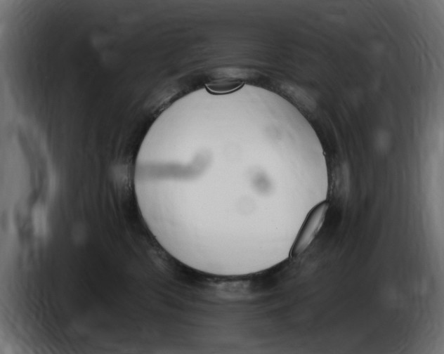 X0000083550426200703021656