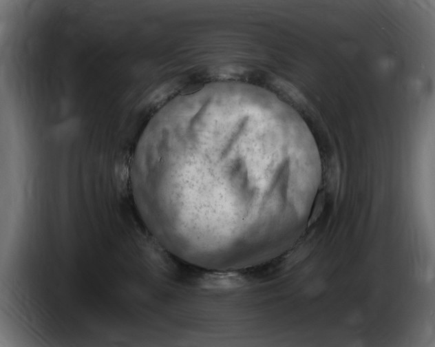 X0000083550427200703021656